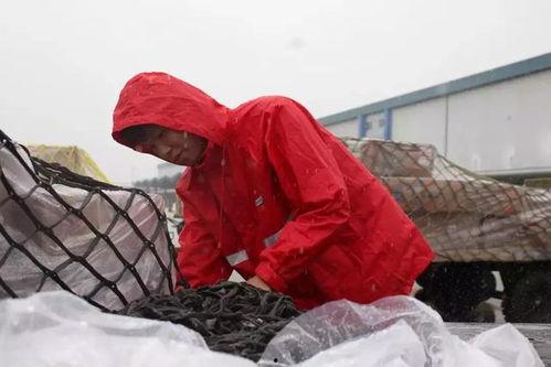 情色货运,暗流涌动的灰色产业链