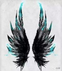 勇敢的翅膀,翱翔在梦想的天空