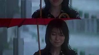 瑞普·凡·温克尔的新娘,穿越时空的新娘之谜