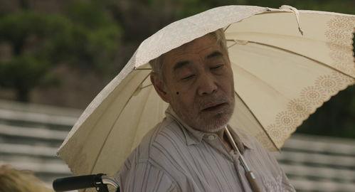 莫西干回到故乡