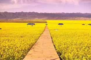 我就种个地怎么就无敌了(种地没前途那你问问我的十万亩地),从种地到无敌的逆袭之路