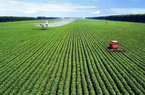 我就种个地怎么就无敌了(种地没前途那你问问我的十万亩地),从种地到无敌的逆袭之路