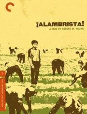 阿兰布里斯塔,探索创新与变革的科技先锋