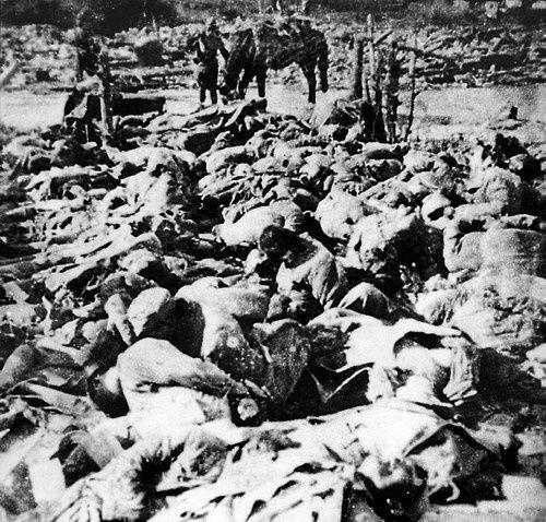 南京大屠杀揭秘,历史真相与民族记忆的揭秘